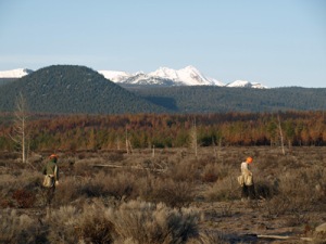A 2012 Global ReLeaf project in Oregon’s Deschutes National Forest works to restore a landscape burned in the 2010 Rooster Rock Fire. (Credit: U.S. Forest Service)