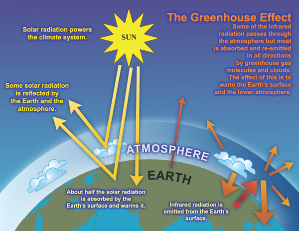 An infographic explaining the Greenhouse Gas Effect. (Credit: World Wildlife Fund)